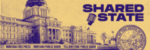 shared-state-sarah-aronson